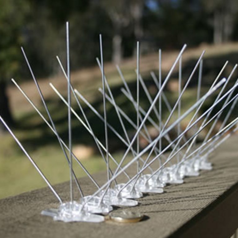 Bird Spikes & Bird Nets in Pakistan Nilvac Enterprises